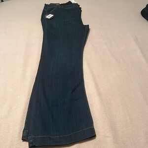 Ashley Stewart Smart Stretch Denim- LOVE MY FIT jeans.  One5one.